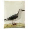 John Derian Decoupage #32 - White Gull
