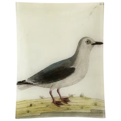 John Derian Decoupage #32 - White Gull