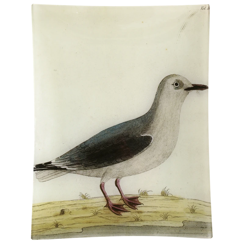 John Derian Decoupage #32 - White Gull 3 John Derian Decoupage #32 - White Gull