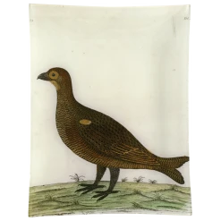 John Derian #4 - Game Hen