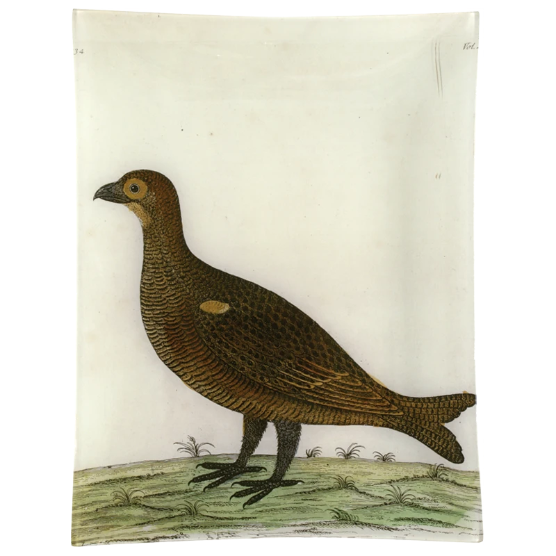 John Derian #4 - Game Hen 3 John Derian #4 - Game Hen