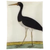 John Derian Decoupage #7 - Black Stork