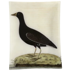 John Derian Decoupage #37 - Female More-Hen