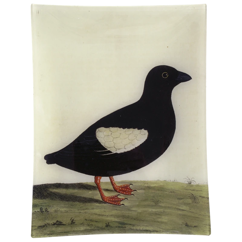 John Derian #27 - Greenland Dove Decoupage 3 John Derian #27 - Greenland Dove Decoupage