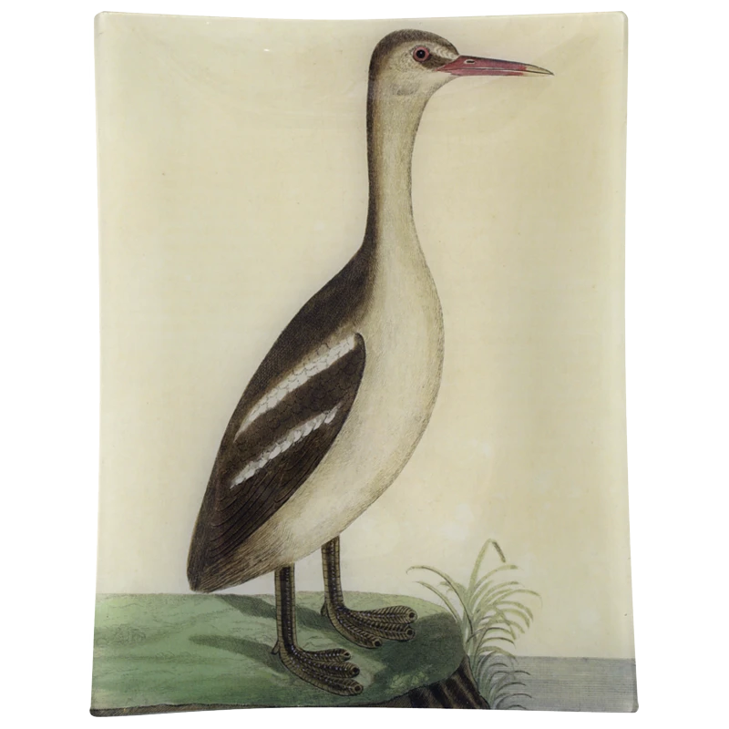 John Derian Decoupage #39 - Great Sea Loon 3 John Derian Decoupage #39 - Great Sea Loon