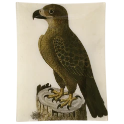 John Derian #40 - Golden Eagle