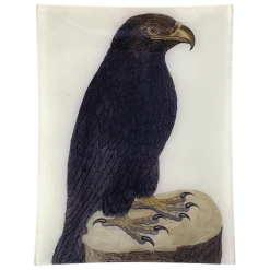 John Derian Decoupage #41 - Black Eagle