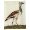 John Derian #3 - Female Bustard