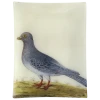 John Derian #14 - Wild Dove/Pigeon