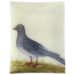 John Derian #14 - Wild Dove/Pigeon