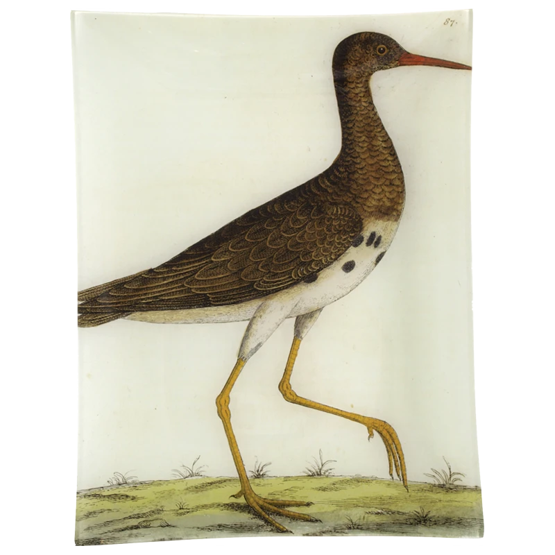 John Derian Decoupage #5 - Loole Snipe 3 John Derian Decoupage #5 - Loole Snipe