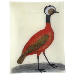 John Derian #2 - Red Peruvian Hen Decoupage