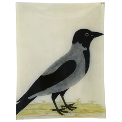 John Derian #10 - Royston Crow Decoupage