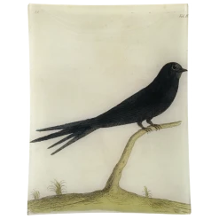 John Derian Decoupage #23 - Swift Bird