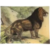 John Derian Lion