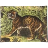 John Derian Tiger Decoupage