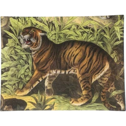 John Derian Tiger Decoupage