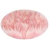 John Derian Pink Crested Poppy
