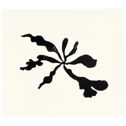 Hugo Guinness Art & Objects Staghorn Fern II