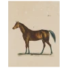John Derian Decoupage Horse (p 148)