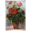 John Derian Decoupage Geranium