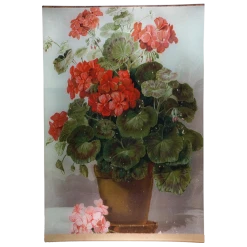 John Derian Decoupage Geranium
