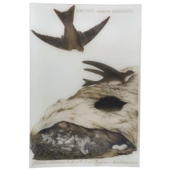 John Derian Nesting Decoupage