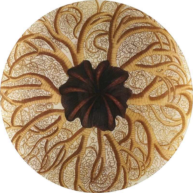 John Derian Decoupage Starfish A 3 John Derian Decoupage Starfish A