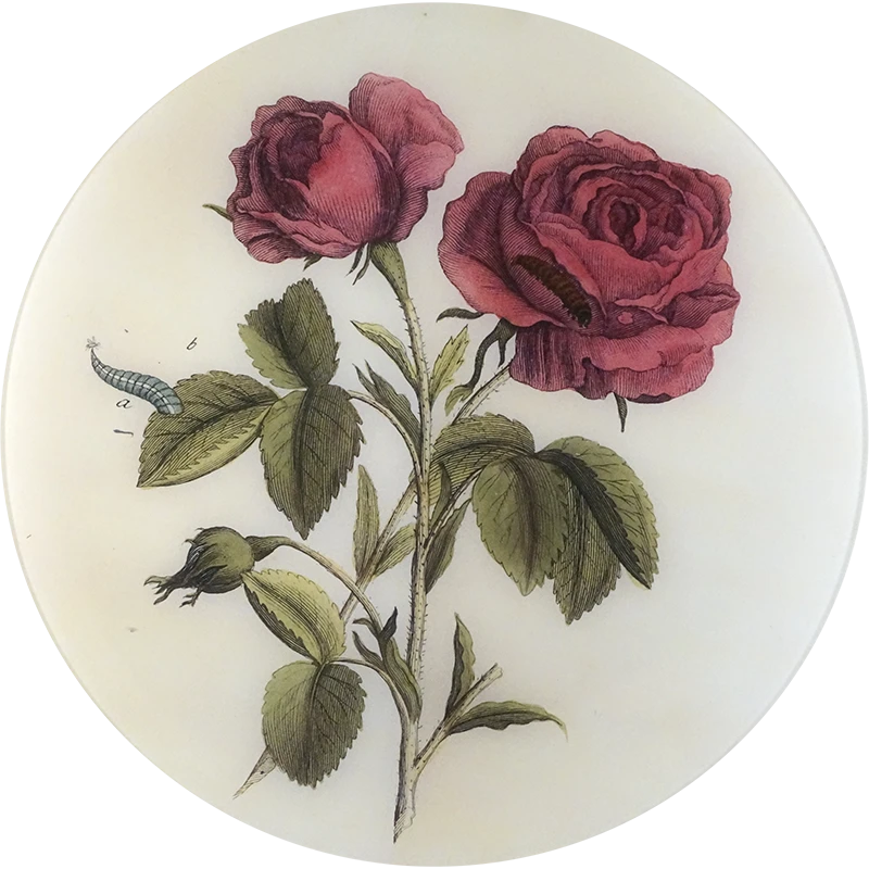 John Derian Decoupage Stemmed Rose 3 John Derian Decoupage Stemmed Rose