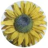 John Derian Sun Flower 1 John Derian Sun Flower