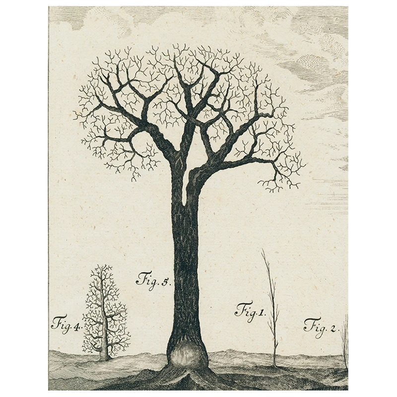 John Derian Winter Tree (p 165) 3 John Derian Winter Tree (p 165)