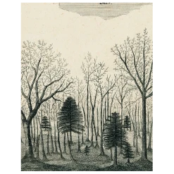 John Derian Bats In The Trees (p 170) Decoupage