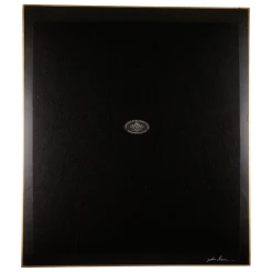 John Derian Shells - FINAL SALE