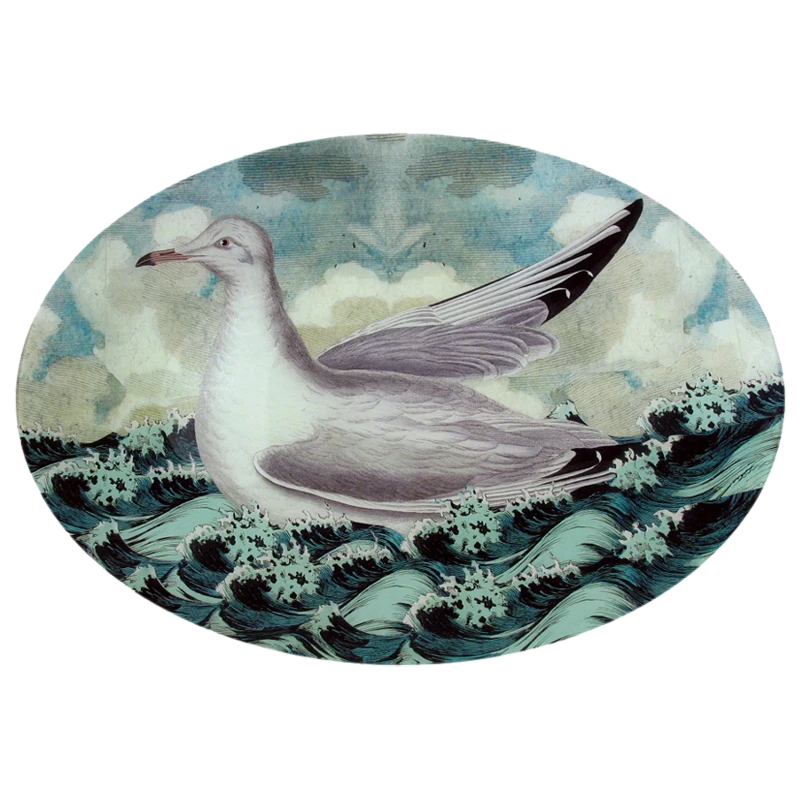 John Derian Sea Gull Decoupage 3 John Derian Sea Gull Decoupage