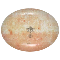 John Derian Large Fan Coral Decoupage