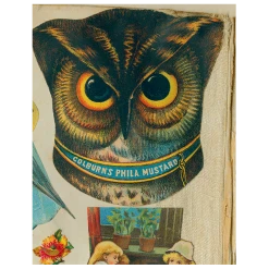 John Derian Owl Close-Up (p 209)