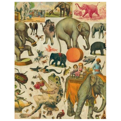 John Derian Circus Elephant (p 210)