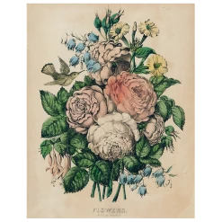 John Derian Decoupage Sepia Hummingbird (p 221)