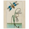 John Derian Dragonfly Over Water (p 257)