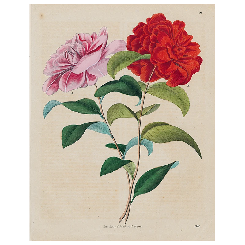 John Derian Stuttgart Flower (p 258) 3 John Derian Stuttgart Flower (p 258)