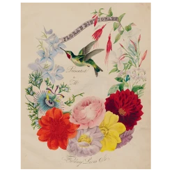 John Derian Flora's Dictionary (Hummingbirds) (p 262) Decoupage