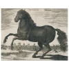 John Derian Decoupage Black Horse (p 269)