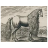 John Derian Fantasy Horse (p 270) Decoupage