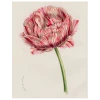 John Derian Decoupage Double Tulip (p 271)