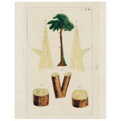 John Derian Decoupage Tree (p 274)