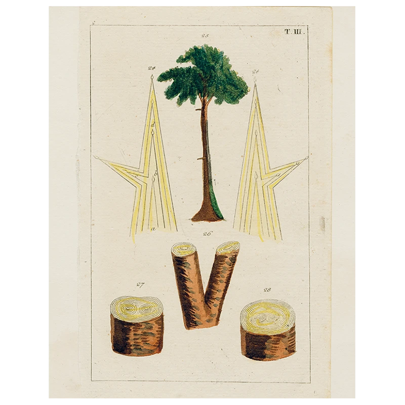 John Derian Decoupage Tree (p 274) 3 John Derian Decoupage Tree (p 274)