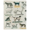 John Derian Dog Run (p 275)
