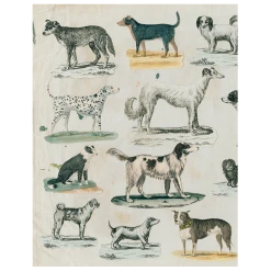 John Derian Dog Run (p 275)