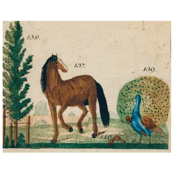 John Derian Decoupage Horse And Peacock (p 277)