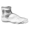 Astier De Villatte Hercules Foot Composition Sculpture